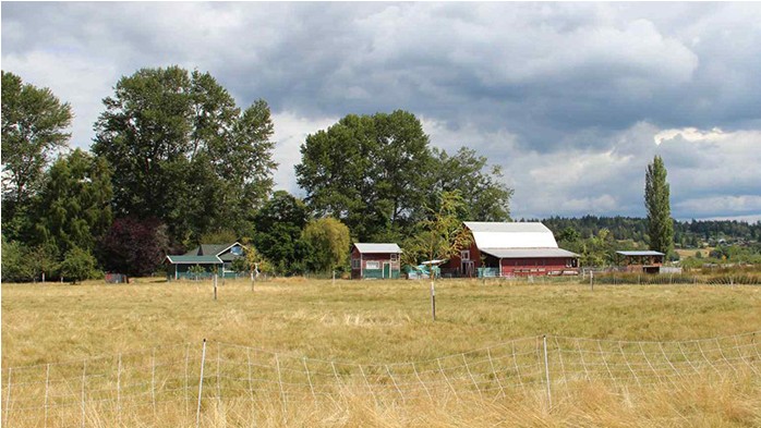 Small farmland parcels like this one in Skagit County are attractive prospects for farmers and non-farmers alike.
Keeping our parcels—big and small—actively farmed is key to the viability of agriculture in Skagit County.